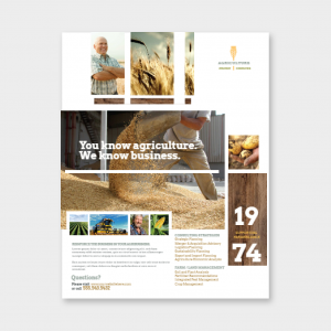 Business Flyers