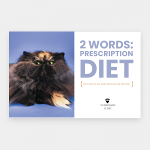 Business Flyers
