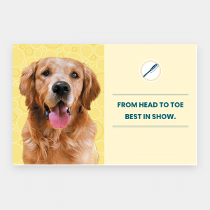 Business Flyers