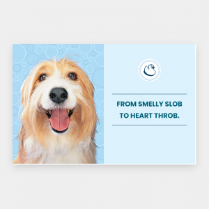 Business Flyers