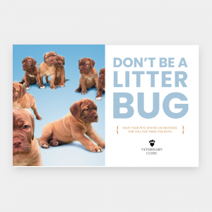 Business Flyers