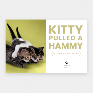 Business Flyers