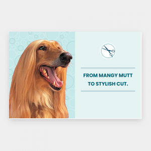 Business Flyers